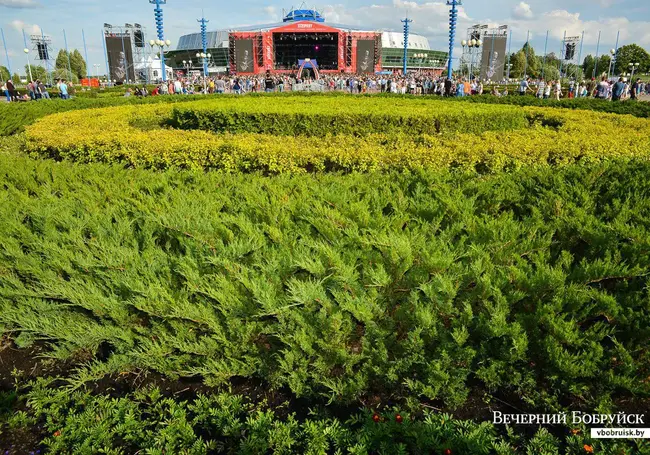 «Все же медицина Бобруйска приятно удивляет». Жизнь глазами бобруйчан
