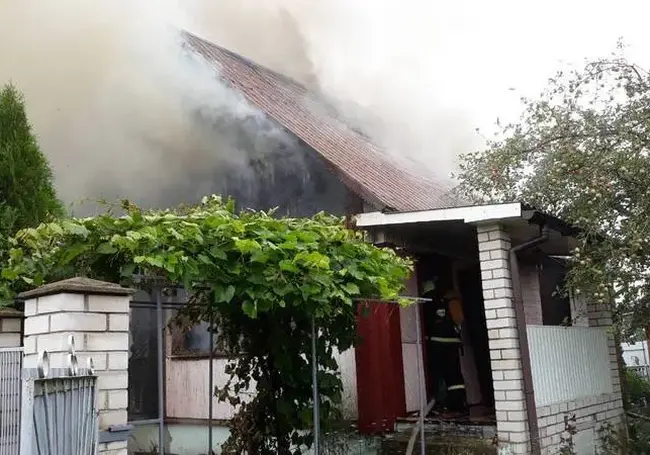 Кошка предупредила пенсионерку о пожаре – женщина спаслась из горящего дома