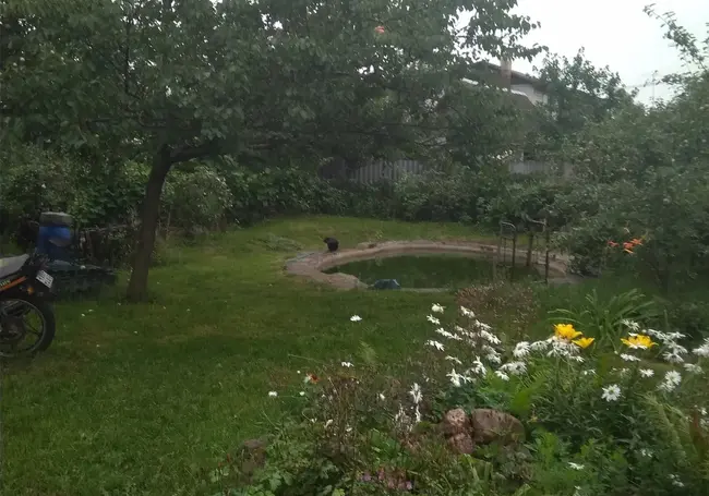 Видеофакт: в огород бобруйчанина забрела нутрия