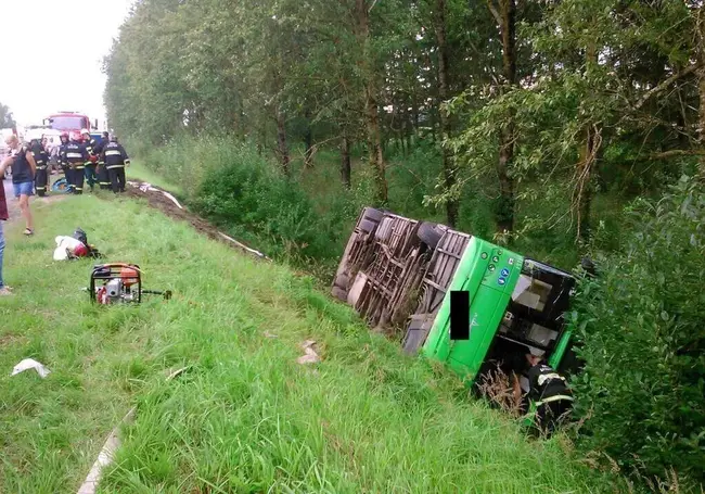 Автобус вылетел в кювет под Минском, есть пострадавшие