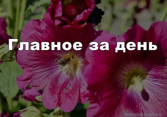 Субботник в Бобруйске, совместные роды и туалет за миллион долларов: главное за день