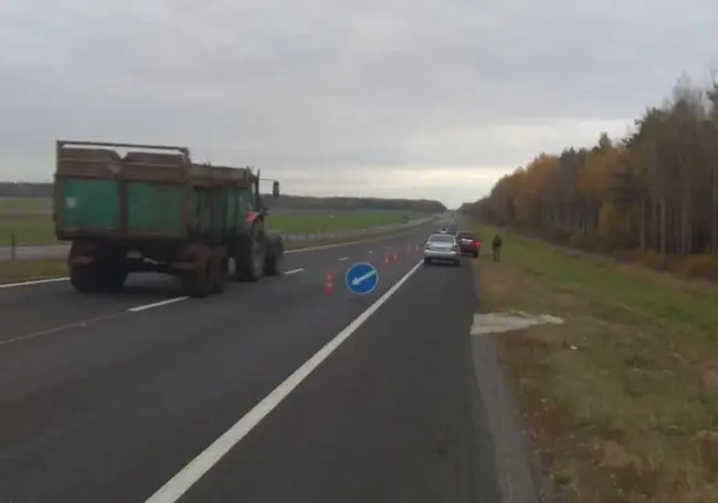 На трассе М5 сбили косулю. Фотофакт