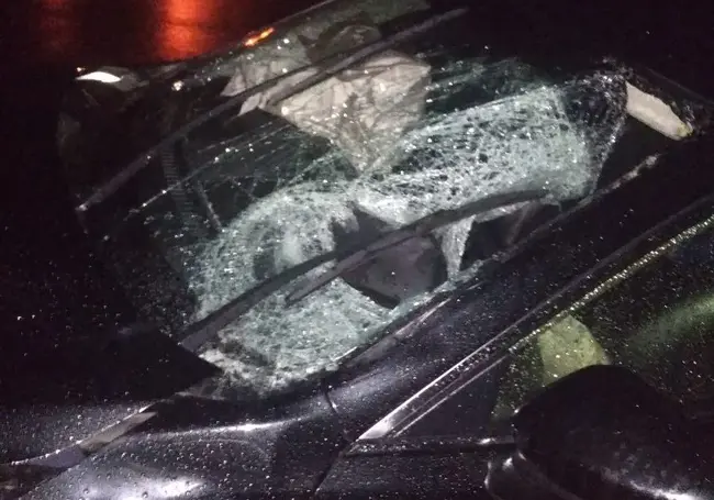 В Лепельском районе под колесами легковушки погиб пешеход