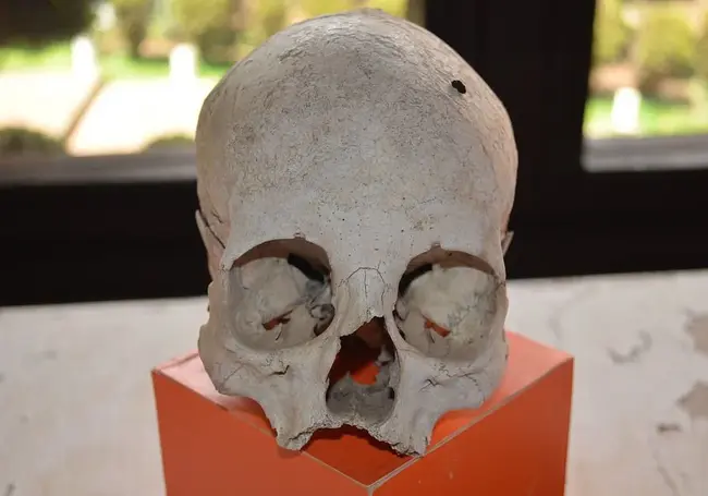 Человеческие останки были найдены при строительстве дороги в Бресте