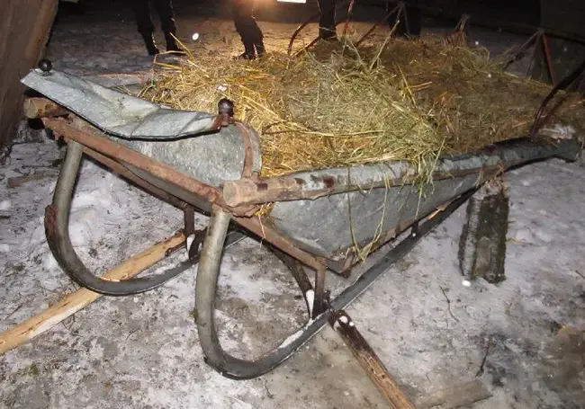 В Бобруйском районе «угнали» конные сани
