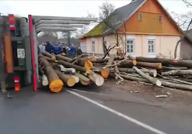 В Ружанах перевернулся лесовоз. Бревна раздавили 6-месячного ребенка и его бабушку