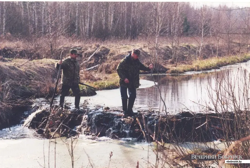 «Как одолеть наглого бобра-…» — картинка создана в Шедевруме