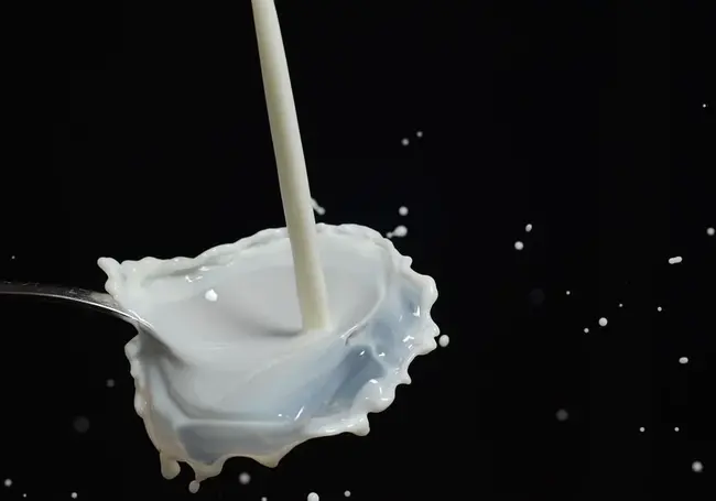 Россия сняла ограничение на поставку сухой «молочки» Лидского комбината