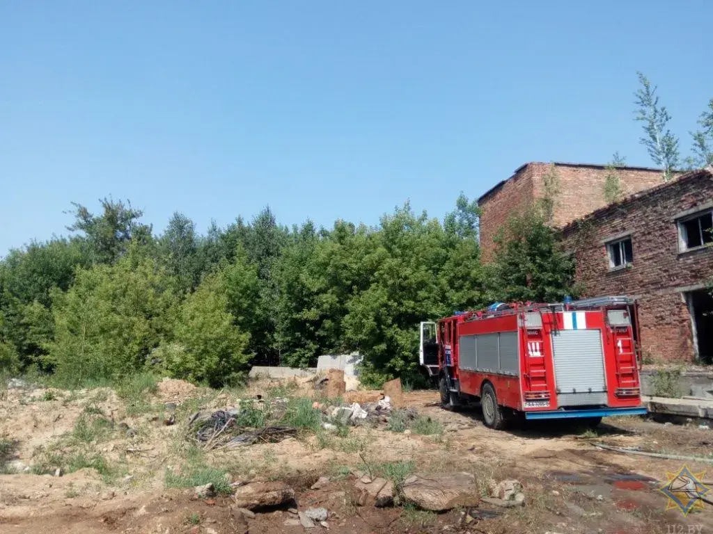 В Могилеве на заброшенном предприятии двух мужчин убило током | bobruisk.ru