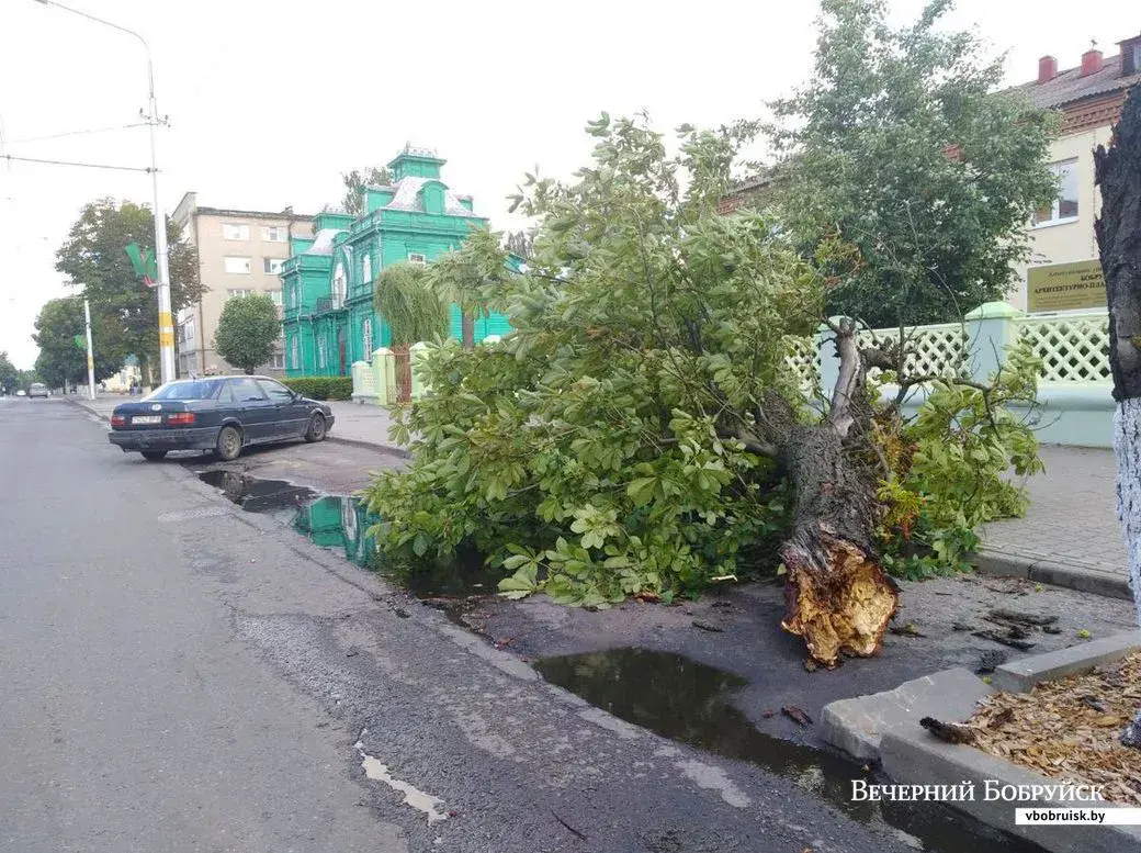 Из-за бури на Могилевщине пострадало девять населенных пунктов | bobruisk.ru