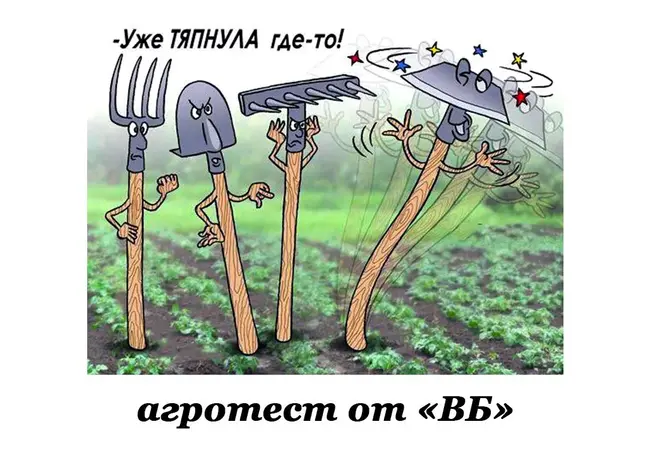 Сурепка, мотыга, цесарка: чтобы узнать, какой вы фермер, пройдите тест