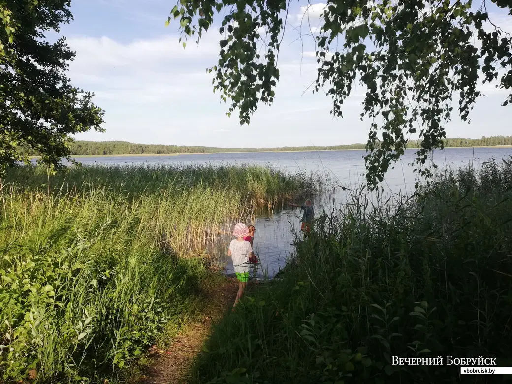 Как недорого отдохнуть на Браславских озерах | bobruisk.ru