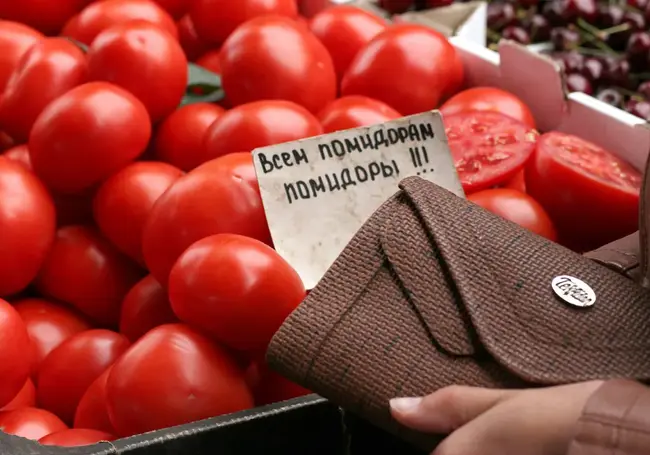 Закупочные цены на помидоры низкие – МАРТ рекомендует производителям продавать самим