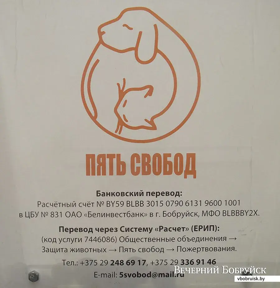Реквизиты БООЗЖ «Пять свобод».