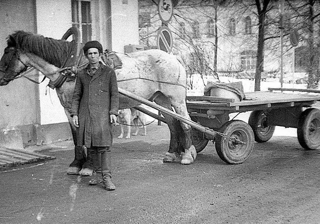 Гарики от Гарика. Бобруйск 1960-х: последние балаголы