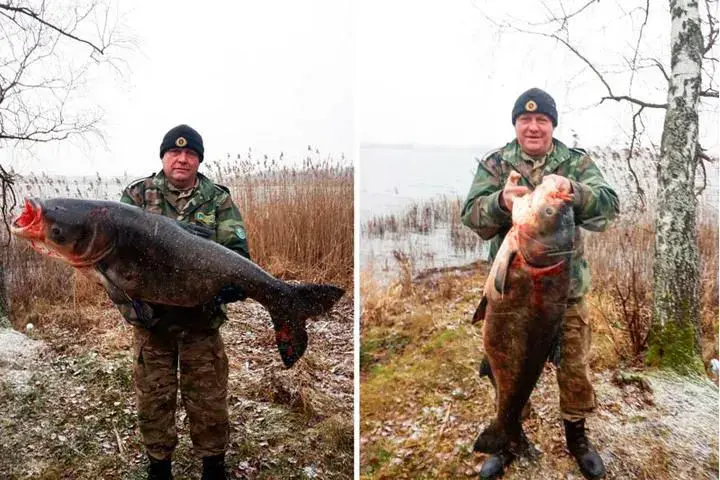 Рыбалка на толстолоба в апреле. 