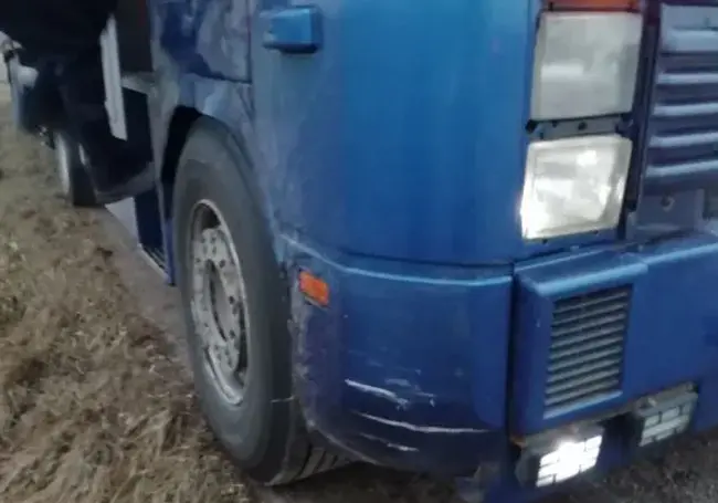 В Чаусском районе фура переехала пешехода: он внезапно вышел на дорогу