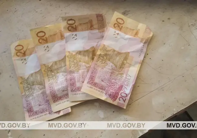В поезде мужчина ограбил девушку, почувствовавшую недомогание: посоветовал высунуть голову в окно