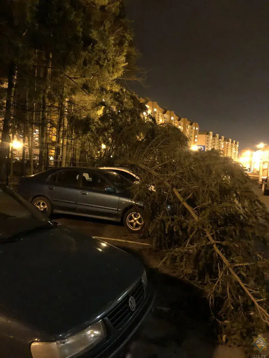 В Минске навес с остановки, сорванный ветром, упал на пенсионерку |  bobruisk.ru