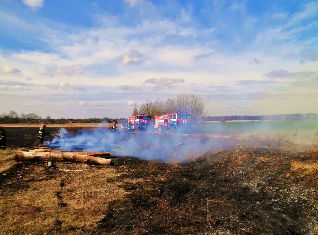 В Глусском районе пастух покурила. Могла сгореть деревня | bobruisk.ru