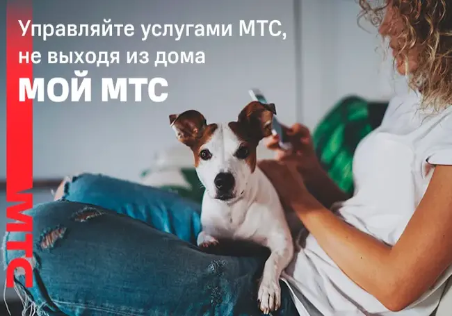 «Мой МТС»: управление услугами связи без визита в офис и звонка в call-центр