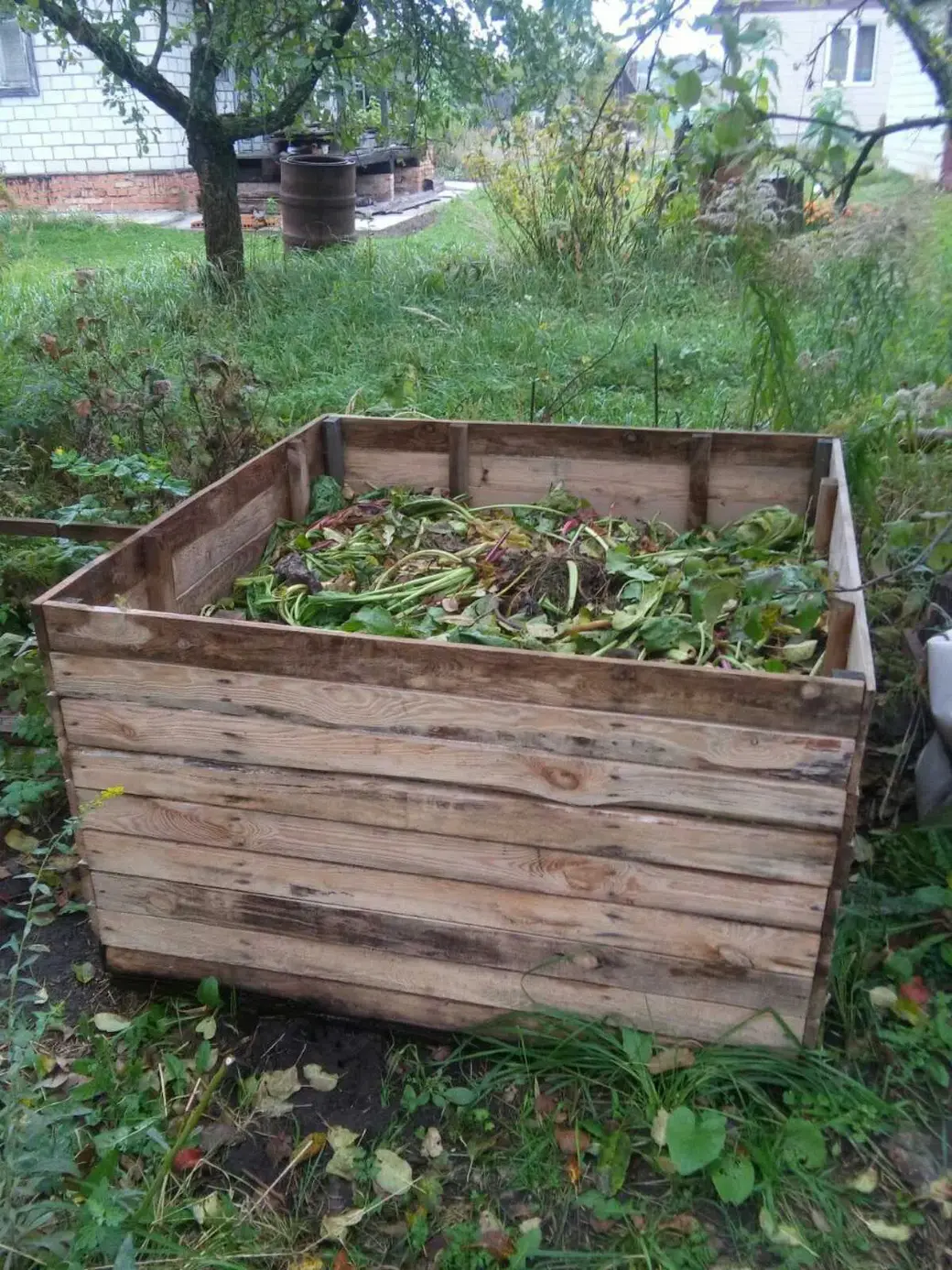 Делаем компостный ящик для приготовления жидкого и густого биогумуса
