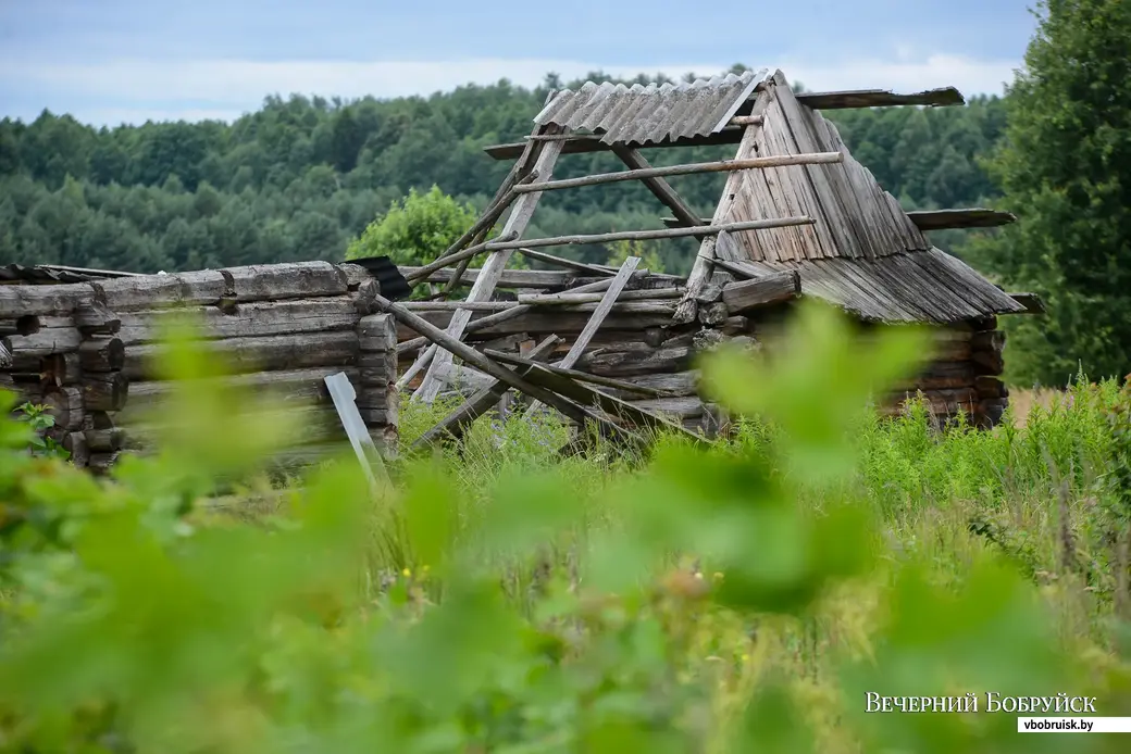 Русские бани на дровах в Ижевске - фото, цены и отзывы – plitka-kukmor.ru