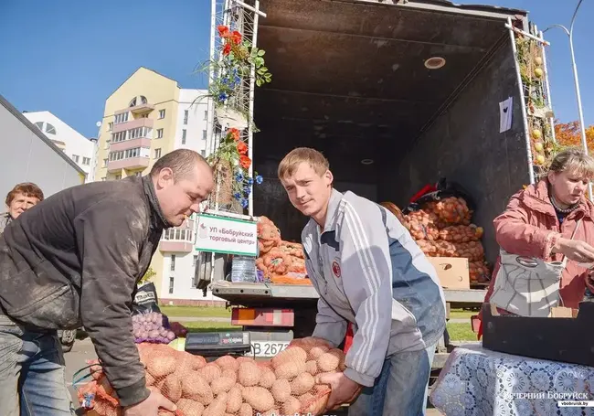 7 ноября в Бобруйске пройдет последняя ярмарка «Золотая осень»