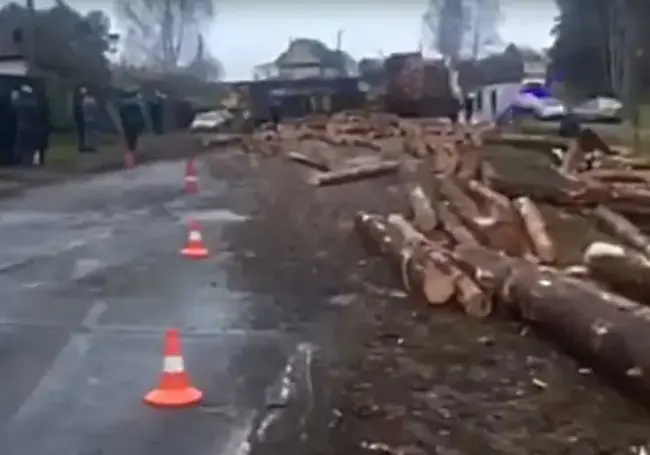 В Могилевском районе выпавшие из прицепа МАЗа бревна убили велосипедиста (видео)