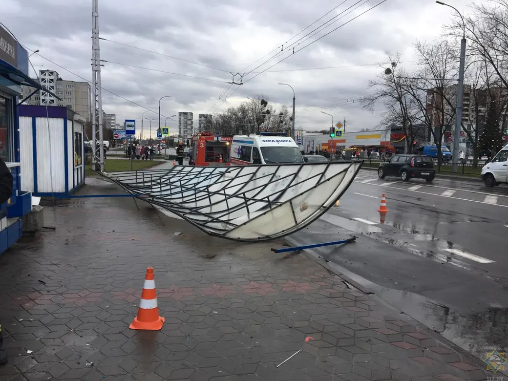 Последствия непогоды в Беларуси: 163 упавших дерева и 28 поврежденных авто  | bobruisk.ru