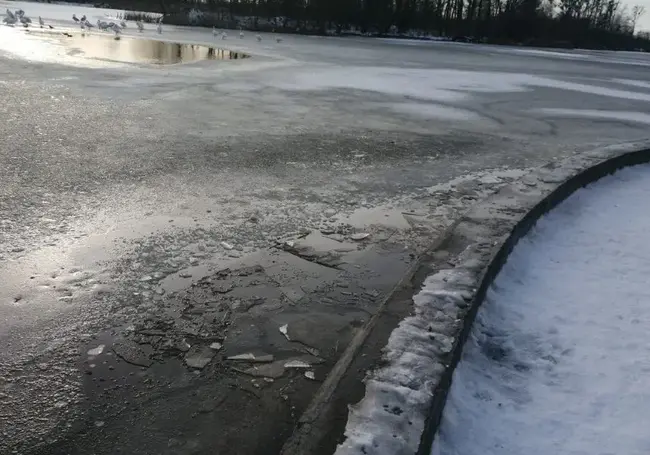 В Бресте 10-летний мальчик провалился под лед
