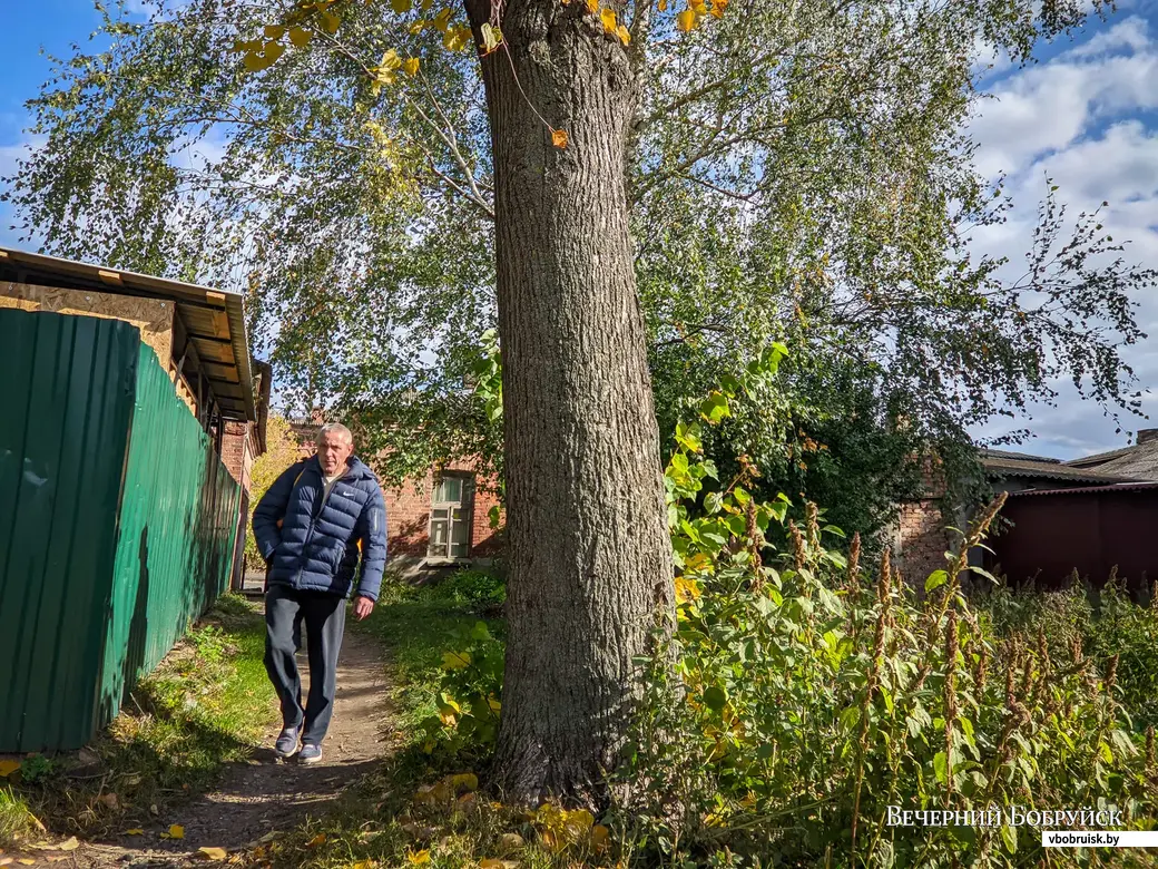 Бобруйск наизнанку: что скрывается за парадным фасадом? Часть I |  bobruisk.ru