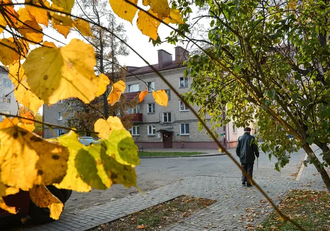 Умерли и отец, и дедушка... Может ли внук рассчитывать на наследство? Вопрос нотариусу