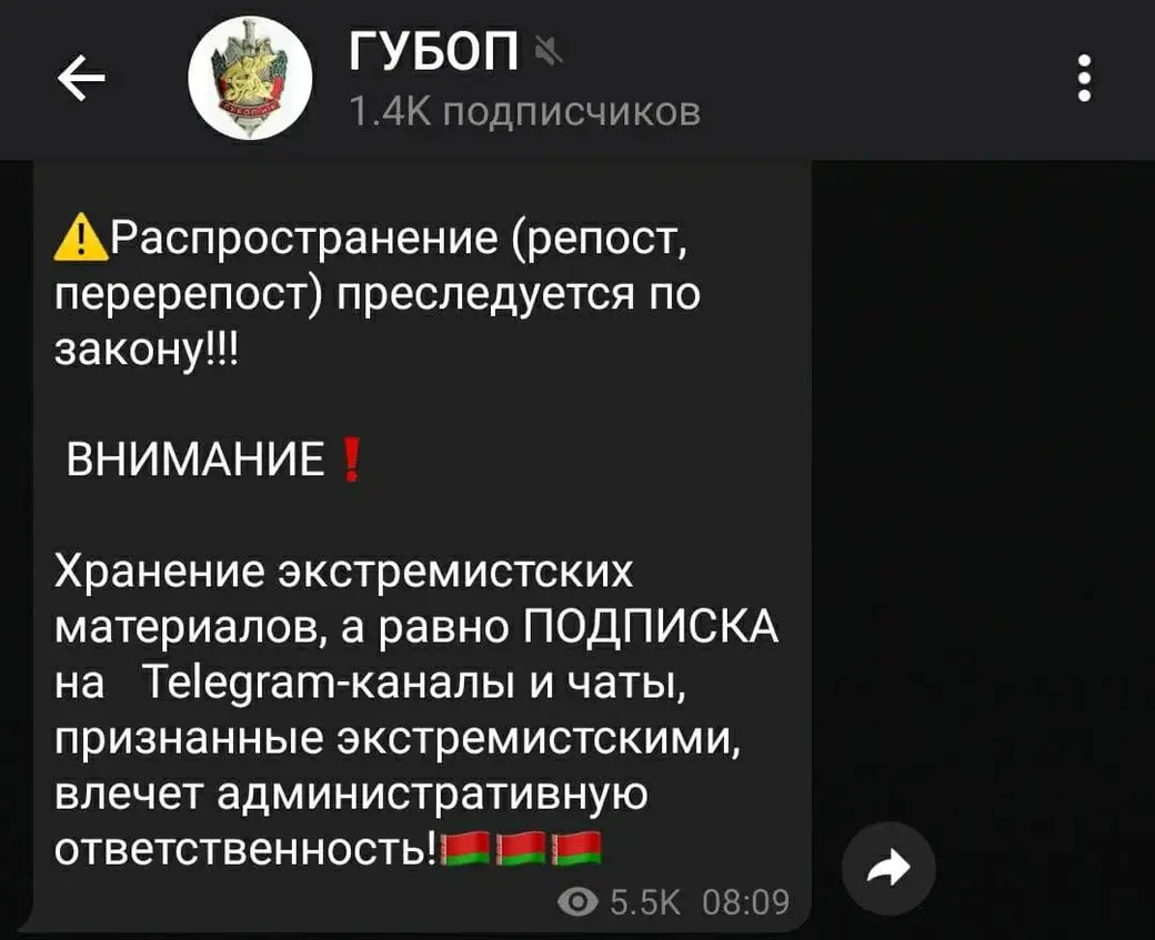 ГУБОПиК МВД предупредил белорусов об ответственности за подписку на  телеграм‑каналы | bobruisk.ru