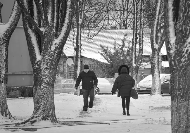 Изменения с 1 февраля в Беларуси: вырастут пособия и плата за ЖКУ, изменятся ставки единого налога, пройдет референдум