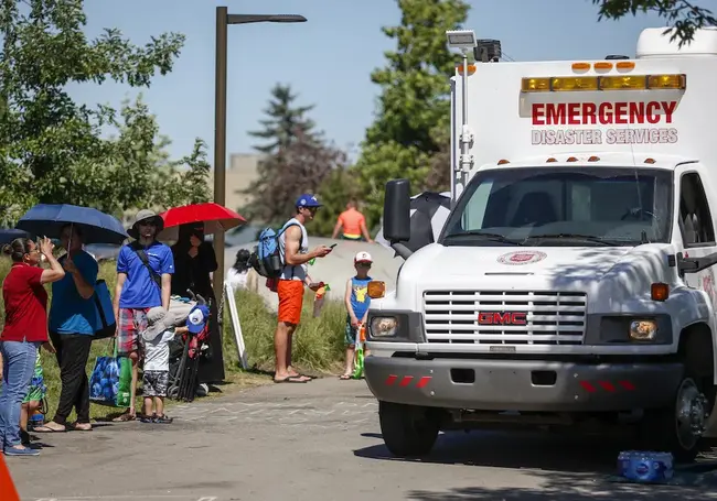 Из-за аномальной жары в Канаде могли погибнуть более 700 человек