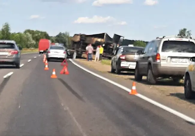 В Бобруйске грузовик уходил от столкновения с животным и перевернулся (видео)