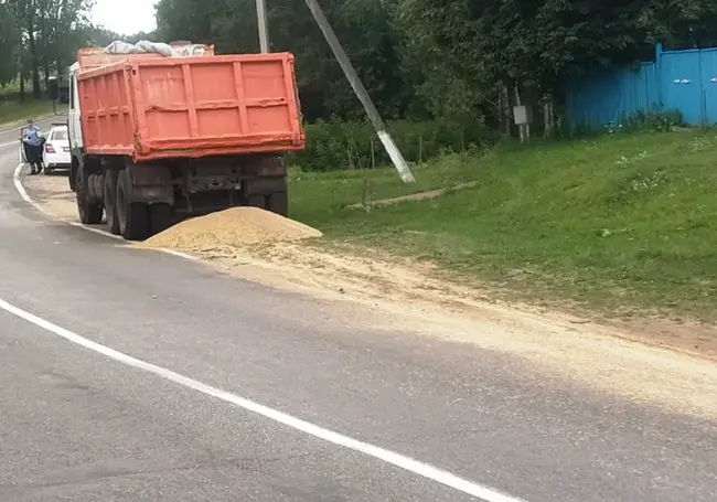 Тонну зерна просыпал грузовик в Славгородском районе. Фотофакт