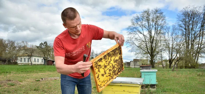 Пчеловоды опасаются, что в этом году может не быть майского меда