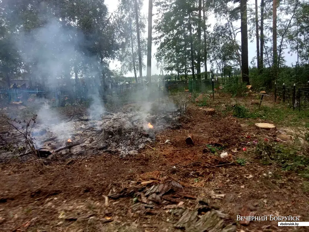 На кладбище в Ламбово удаляли аварийные деревья: наш читатель возмутился –  сельсовет ответил | bobruisk.ru