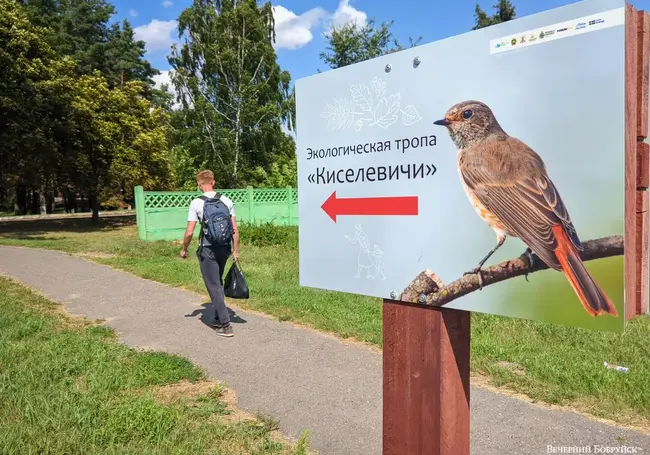 В Бобруйске официально открыли экотропу «Киселевичи»