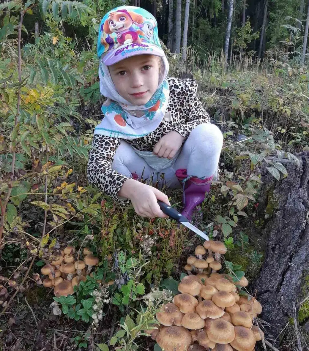 Работа с детьми ОВЗ по развивающему пособию В.В.Воскобовича «Фиолетовый лес»