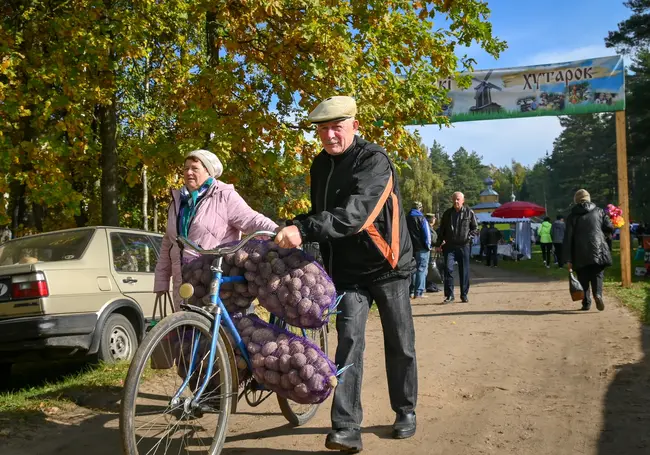 Сколько картошки, мяса и молока потребляет один житель Беларуси в год?