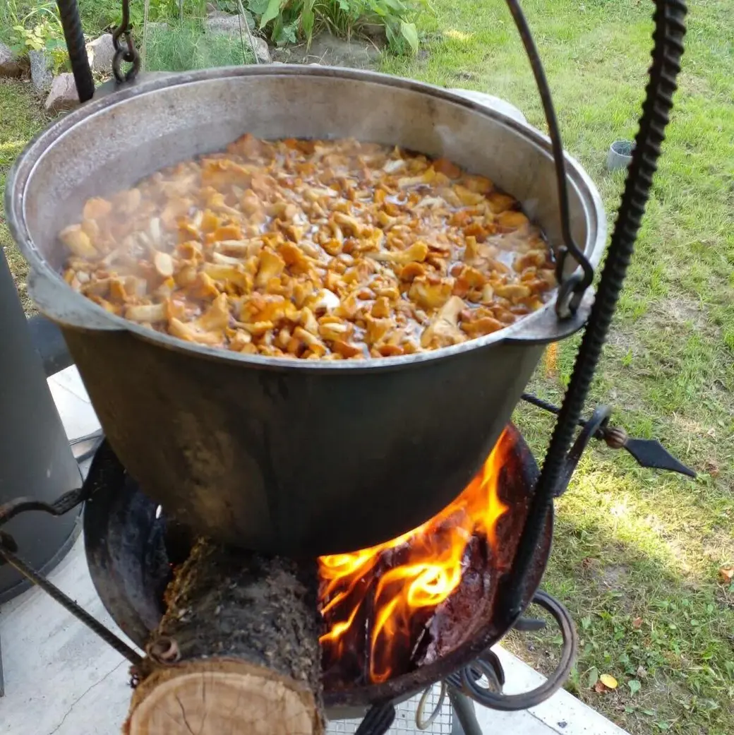 Гриб Баран – диковинный и редкий