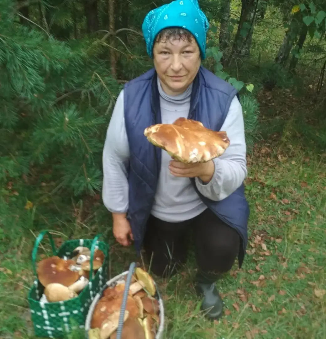 Боровик с цветком, рецепт-бомба из колпаков и вешенки на икру. Фотоконкурс  «Тихая охота» продолжается | bobruisk.ru