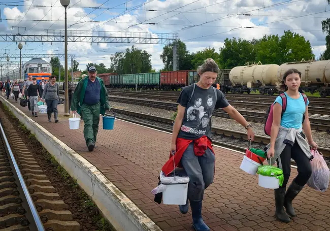 «Не та цена, чтобы руками ее собирать!» Расспросили бобруйчан, как идет заготовка черники и стоит ли овчинка выделки