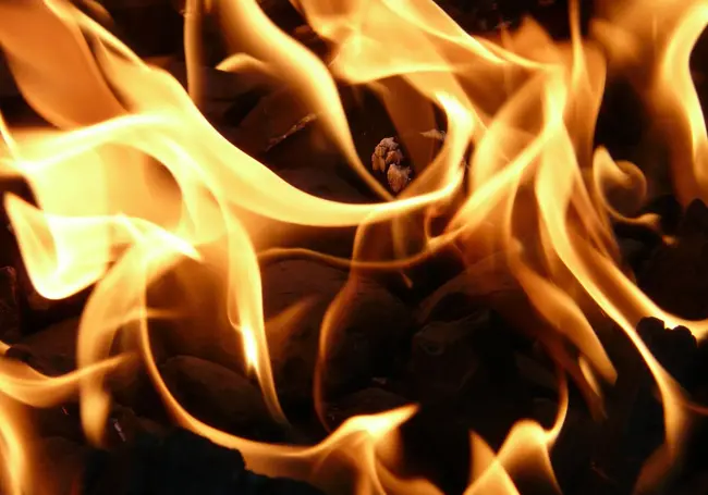 В Могилеве горел дом. Спасены три человека
