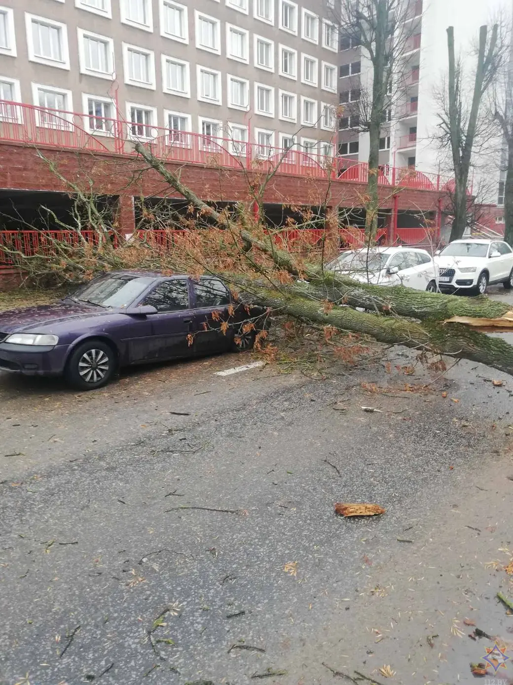 Ураганный ветер в Минске сбивает людей с ног и ломает деревья. Фото, видео  | bobruisk.ru