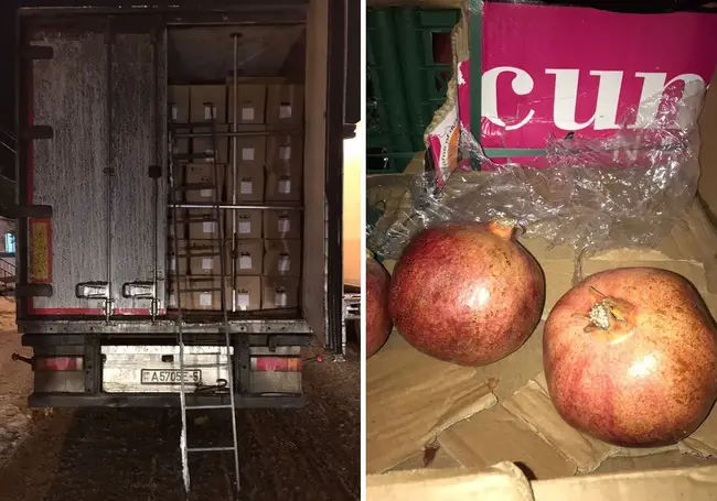 В России задержали грузовик из Бобруйска, перевозивший гранаты под видом яиц