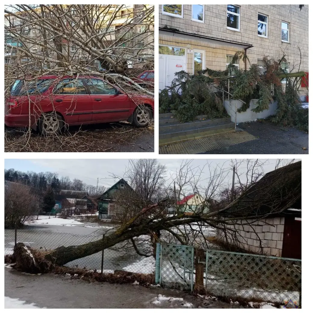 В Бобруйске ветром сдуло остановку. Последствия непогоды | bobruisk.ru